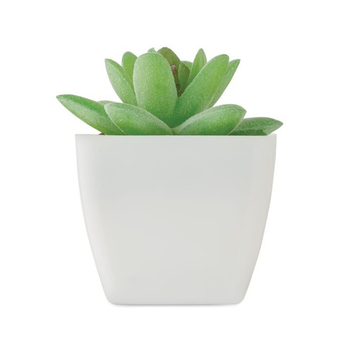 mo2854-06-back_id392-2026.jpg