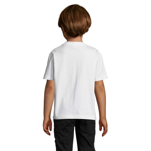 s11770-wh-back_id392-2026.jpg