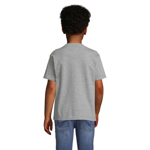 s11770-gm-back_id392-2026.jpg