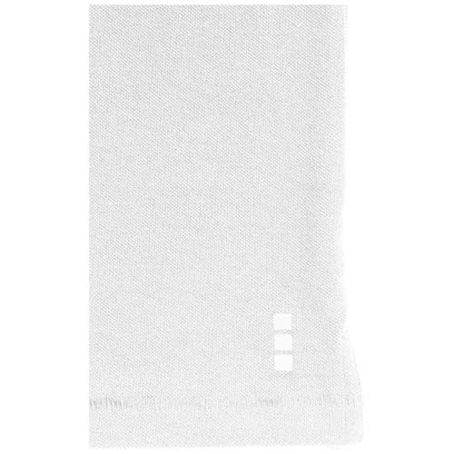 3808601_D2-id400-jan26.jpg