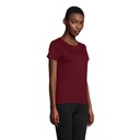 s03581-bg-back_id392-2026.jpg