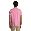 s11380-op-back_id392-2026.jpg