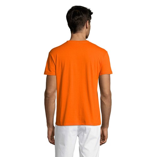 s11380-or-back_id392-2026.jpg