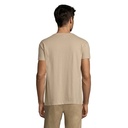 s11380-sa-back_id392-2026.jpg