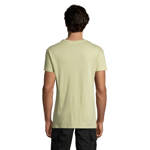 s11380-sg-back_id392-2026.jpg