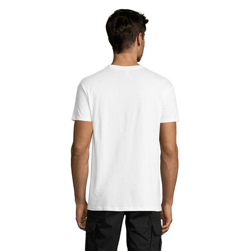 s11380-wh-back_id392-2026.jpg
