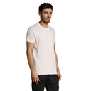 s11380-pp-side_id392-2026.jpg