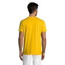 s11380-go-back_id392-2026.jpg