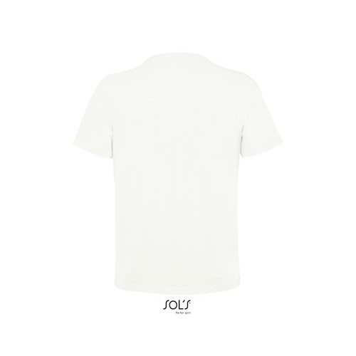 s11380-nb-back_id392-2026.jpg