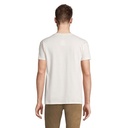s11380-ww-back_id392-2026.jpg