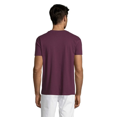 s11380-bg-back_id392-2026.jpg