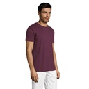 s11380-bg-side_id392-2026.jpg