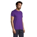 s11380-da-side_id392-2026.jpg