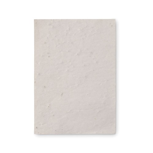 mo6916-06-back_id392-2026.jpg