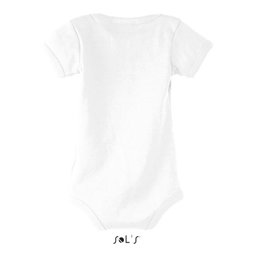 s00583-wh-back_id392-2026.jpg