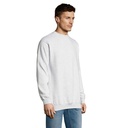 s13250-as-side_id392-2026.jpg