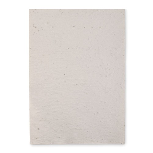 mo6914-06-back_id392-2026.jpg