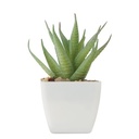 mo2852-06-back_id392-2026.jpg