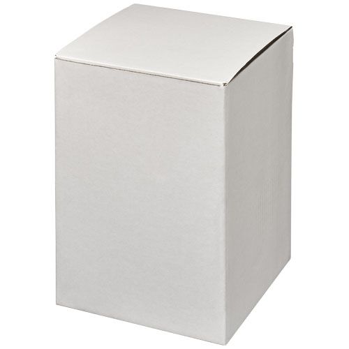21042002_P1-id400-jan26.jpg